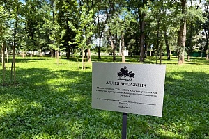 ������������� ����� ������ ������� ����������